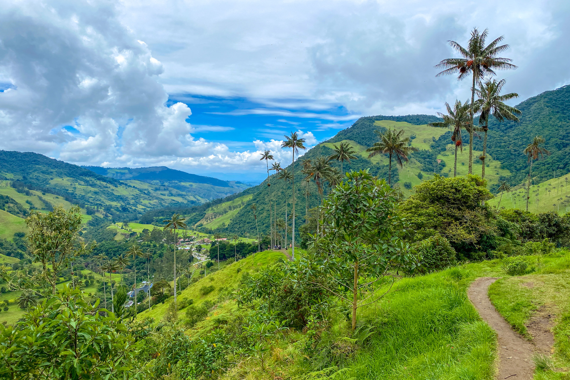 Valle del Cocora