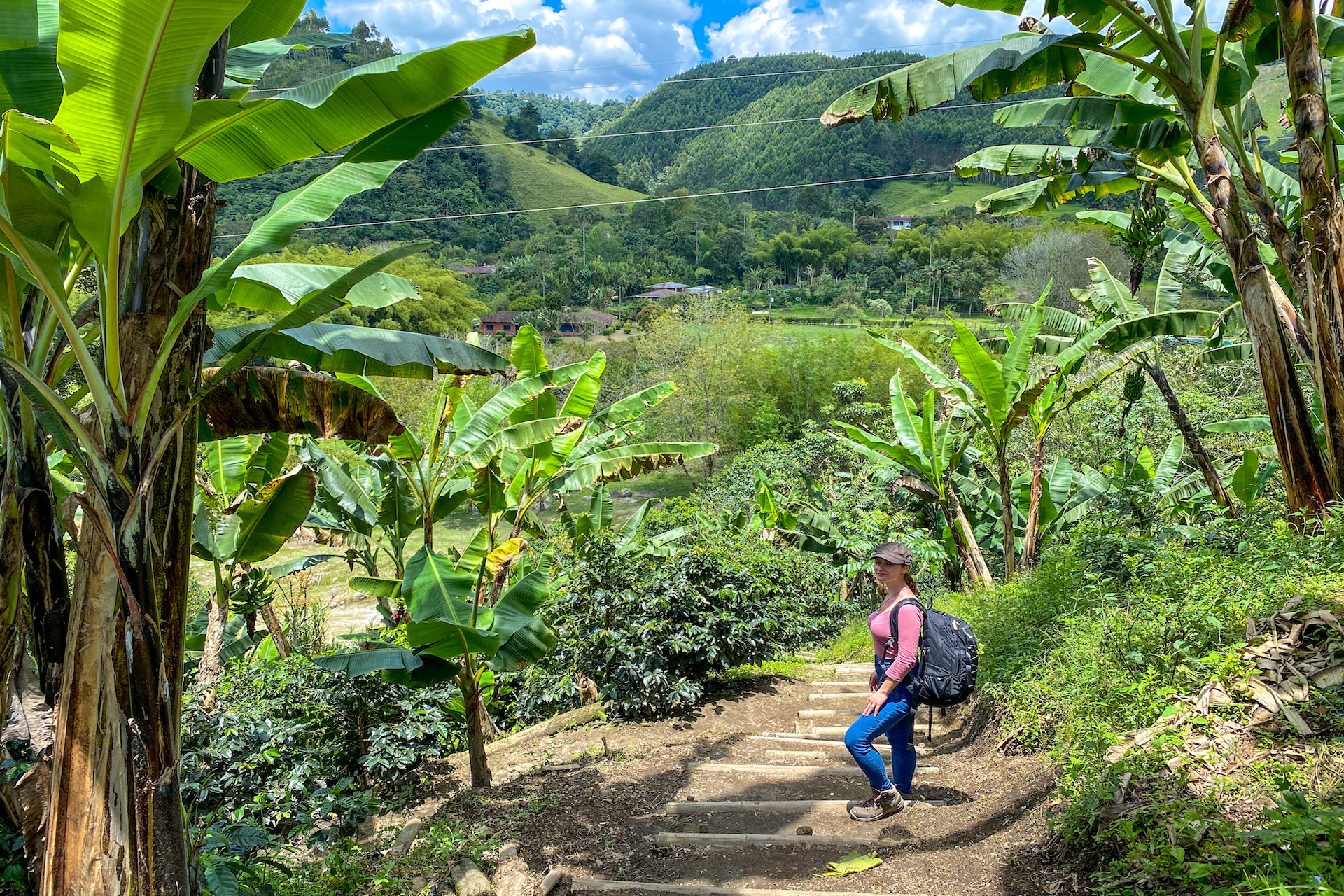 Finca Colombia